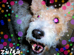 Fotoblog agooosska