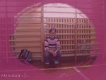 Fotoblog 16kotusia08