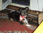 Fotoblog jesa93