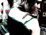Fotoblog vividcradle