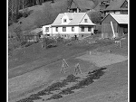 Fotoblog blingboy