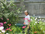 Fotoblog sibollife