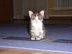 Fotoblog stockiedziewczyny