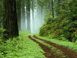 Fotoblog niemabatasory