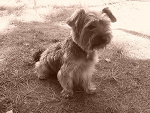 Fotoblog harasia