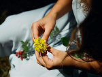 Fotoblog faunia
