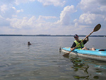 Fotoblog boruwa1