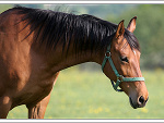 Fotoblog jessi112