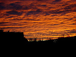 Fotoblog lesnyjebak