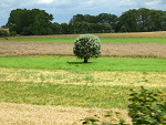 Fotoblog kathrinee