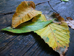 Fotoblog 0utsider