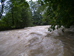 Fotoblog skawica
