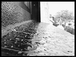 Fotoblog mukacz