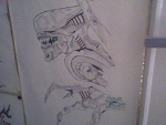 Fotoblog oko941