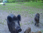 Fotoblog wujjaa