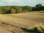 Fotoblog vladiev