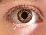 Fotoblog pc108