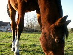 Fotoblog herubin