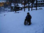 Fotoblog lisiurka
