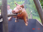 Fotoblog orencik92