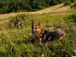 Fotoblog atos