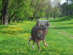 Fotoblog seba75