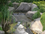 Fotoblog kusanagi