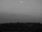 Fotoblog damianux13