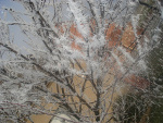 Fotoblog jowitaaa93