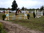 Fotoblog horsiaczek