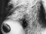 Fotoblog ooduskaoo