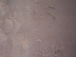 Fotoblog kakaoo