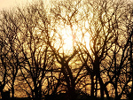 Fotoblog skrobq