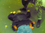 Fotoblog mondryczuowiek