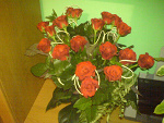 Fotoblog beata6