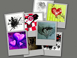 Fotoblog qaniaa