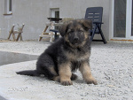 Fotoblog lipek1313