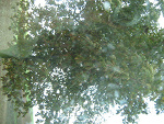 Fotoblog djkolega88