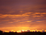 Fotoblog artaaam