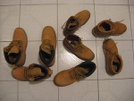 Fotoblog nemone