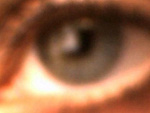 Fotoblog wilczyca166