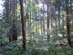 Fotoblog czarnywilk