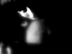 Fotoblog blackprincessx
