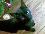 Fotoblog eek01