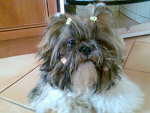 Fotoblog mmateusz96m