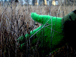 Fotoblog addziuraweamglany