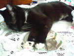 Fotoblog wyc1or