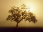 Fotoblog ismylife