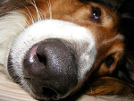 Fotoblog anita28c