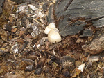 Fotoblog paczka14